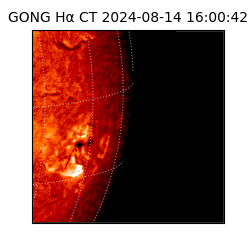 gong - 2024-08-14T16:00:42