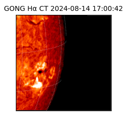 gong - 2024-08-14T17:00:42