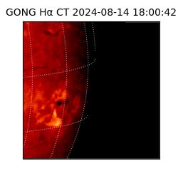 gong - 2024-08-14T18:00:42