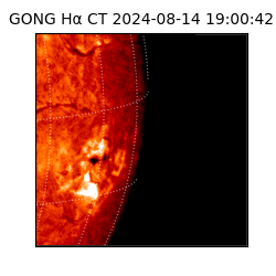gong - 2024-08-14T19:00:42