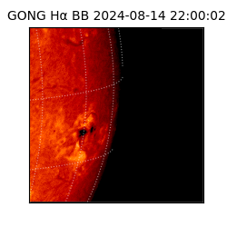 gong - 2024-08-14T22:00:02