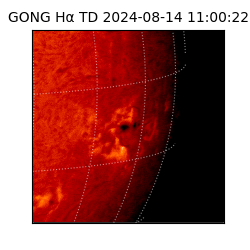 gong - 2024-08-14T11:00:22