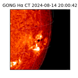 gong - 2024-08-14T20:00:42