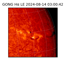 gong - 2024-08-14T03:00:42