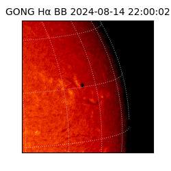 gong - 2024-08-14T22:00:02