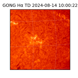 gong - 2024-08-14T10:00:22