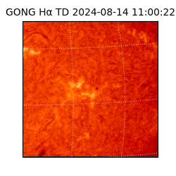 gong - 2024-08-14T11:00:22