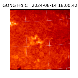gong - 2024-08-14T18:00:42