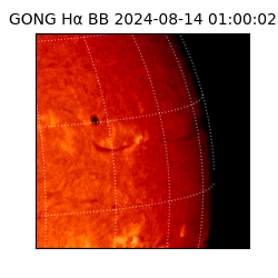 gong - 2024-08-14T01:00:02