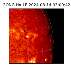 gong - 2024-08-14T03:00:42
