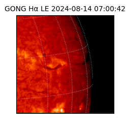 gong - 2024-08-14T07:00:42