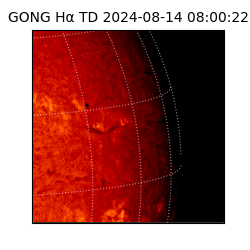 gong - 2024-08-14T08:00:22