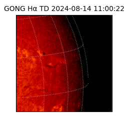 gong - 2024-08-14T11:00:22