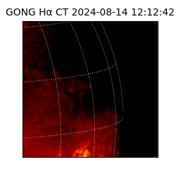 gong - 2024-08-14T12:12:42