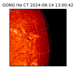 gong - 2024-08-14T13:00:42