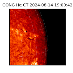 gong - 2024-08-14T19:00:42