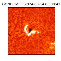 gong - 2024-08-14T03:00:42