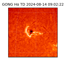 gong - 2024-08-14T09:02:22