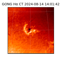 gong - 2024-08-14T14:01:42