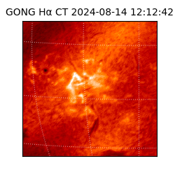 gong - 2024-08-14T12:12:42