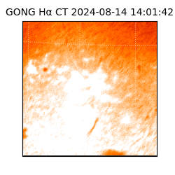 gong - 2024-08-14T14:01:42