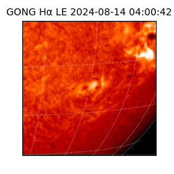 gong - 2024-08-14T04:00:42