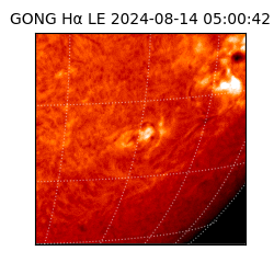 gong - 2024-08-14T05:00:42