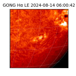 gong - 2024-08-14T06:00:42