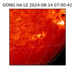 gong - 2024-08-14T07:00:42