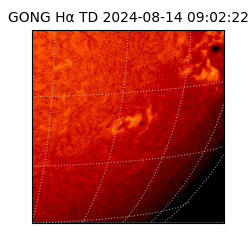 gong - 2024-08-14T09:02:22