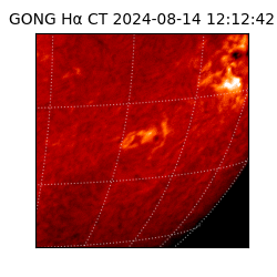 gong - 2024-08-14T12:12:42