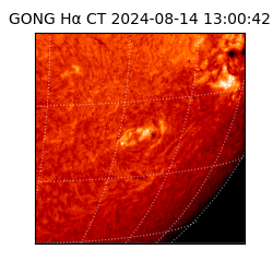 gong - 2024-08-14T13:00:42