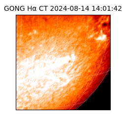 gong - 2024-08-14T14:01:42