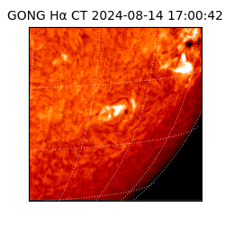 gong - 2024-08-14T17:00:42