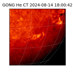 gong - 2024-08-14T18:00:42