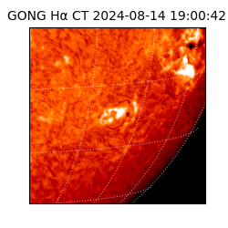 gong - 2024-08-14T19:00:42