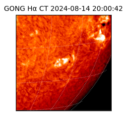 gong - 2024-08-14T20:00:42