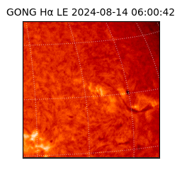 gong - 2024-08-14T06:00:42