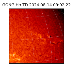 gong - 2024-08-14T09:02:22