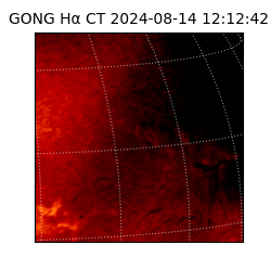 gong - 2024-08-14T12:12:42