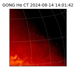 gong - 2024-08-14T14:01:42