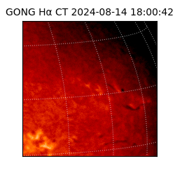 gong - 2024-08-14T18:00:42