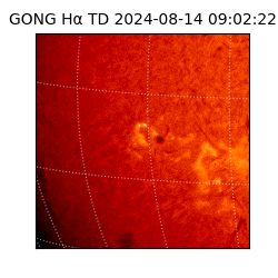 gong - 2024-08-14T09:02:22