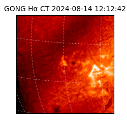 gong - 2024-08-14T12:12:42