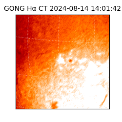 gong - 2024-08-14T14:01:42