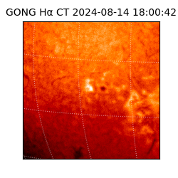 gong - 2024-08-14T18:00:42