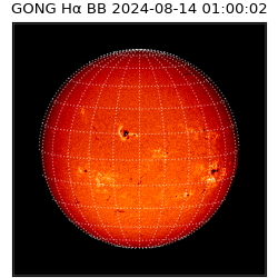 gong - 2024-08-14T01:00:02