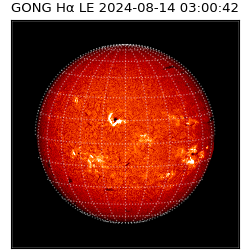 gong - 2024-08-14T03:00:42