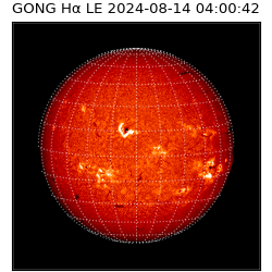 gong - 2024-08-14T04:00:42