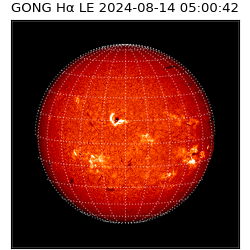 gong - 2024-08-14T05:00:42